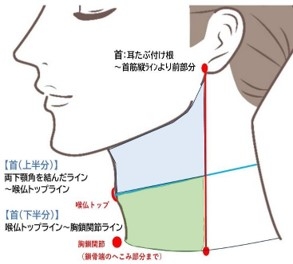 パーツ別脱毛